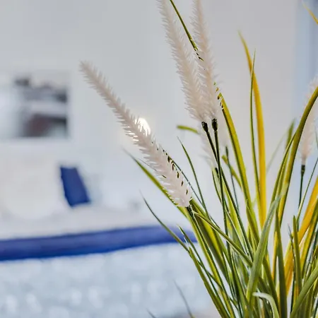 Casa Aloe * أرونا