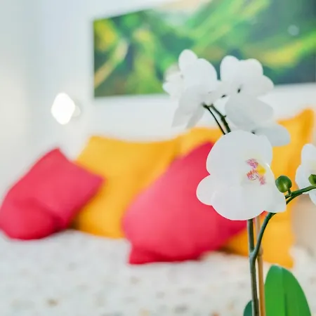 빌라 Casa Aloe *